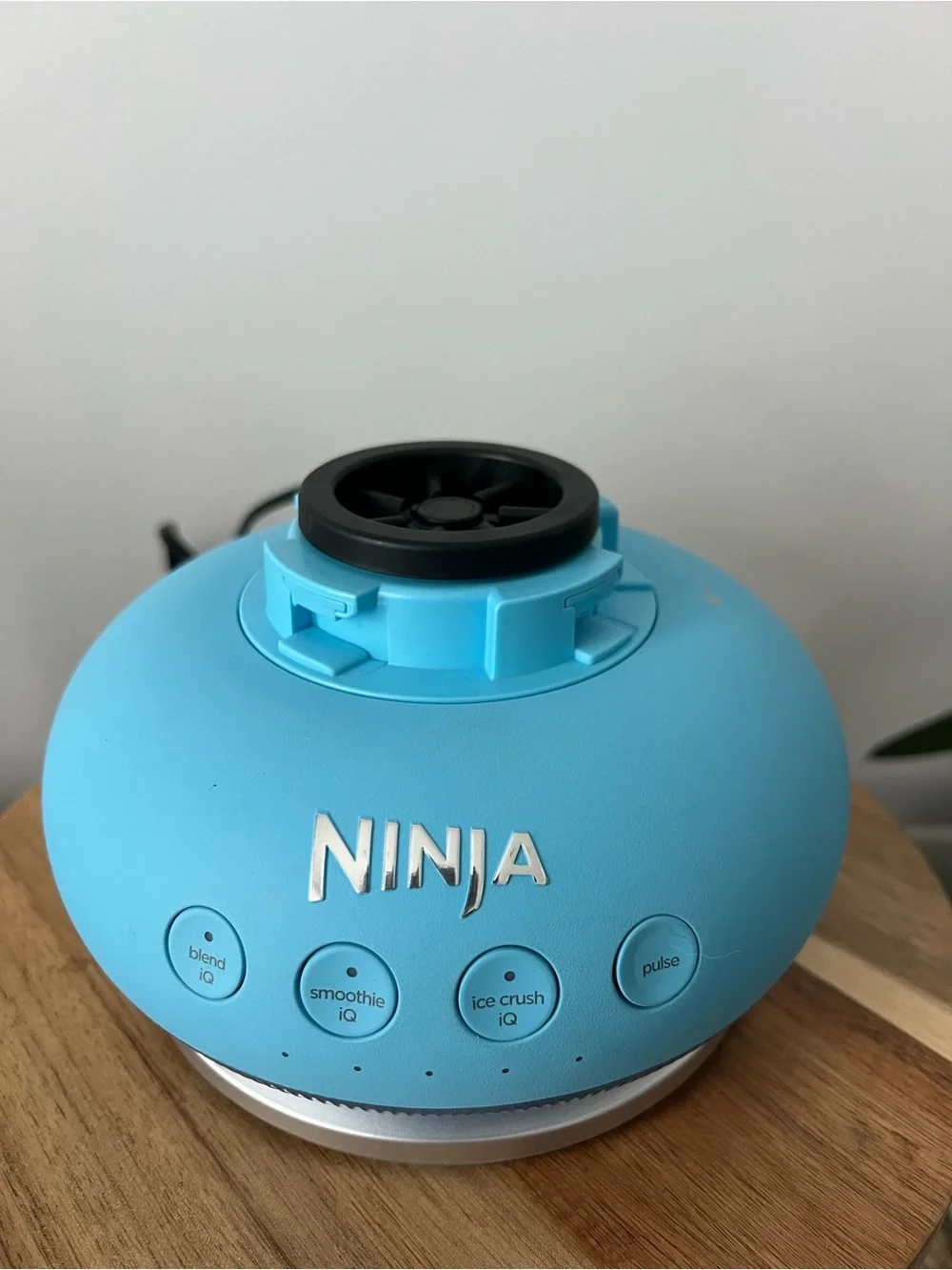 Ninja blendboss Smoothie Blender
